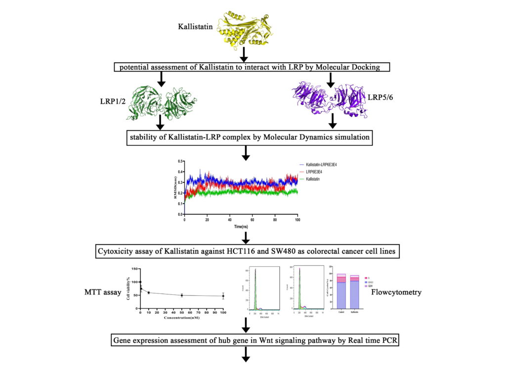 Kallistatin as an inhibitory protein against colorectal cancer cells through binding to LRP6