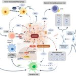 Molecular alterations contributing to pancreatic cancer chemoresistance